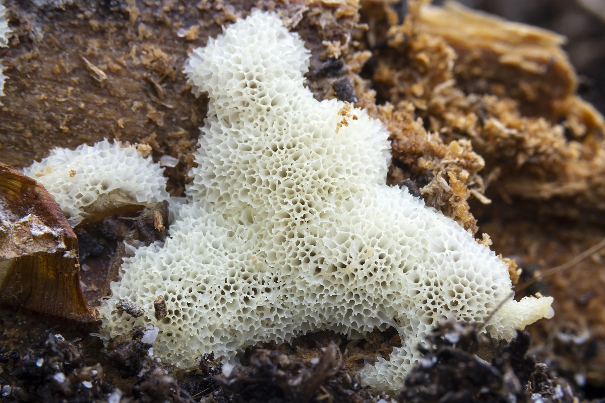 Slavyan porno filmlar onlayn